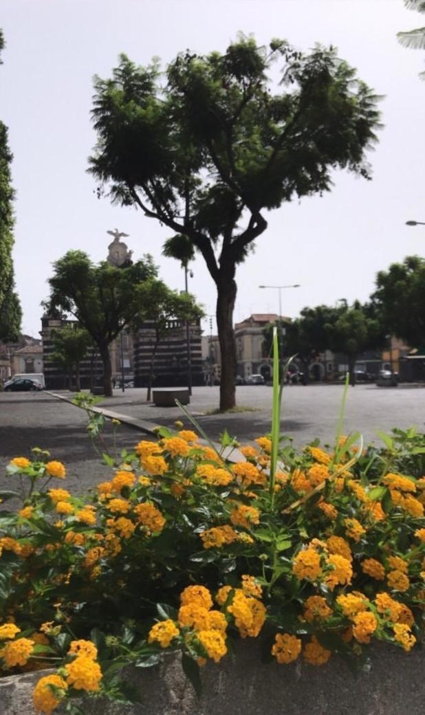 Il Fortino Apartment Katania Zewnętrze zdjęcie